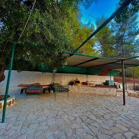 Hostal Oak Farm مزرعة الملّول ‘Ajlūn Exterior foto