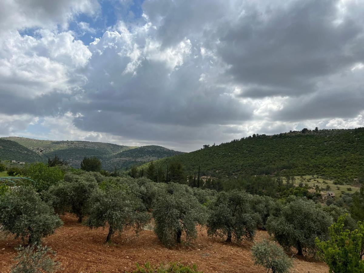 Hostal Oak Farm مزرعة الملّول ‘Ajlūn Exterior foto